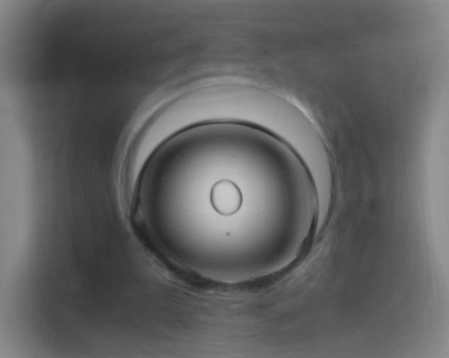 X0000114390199200910231023