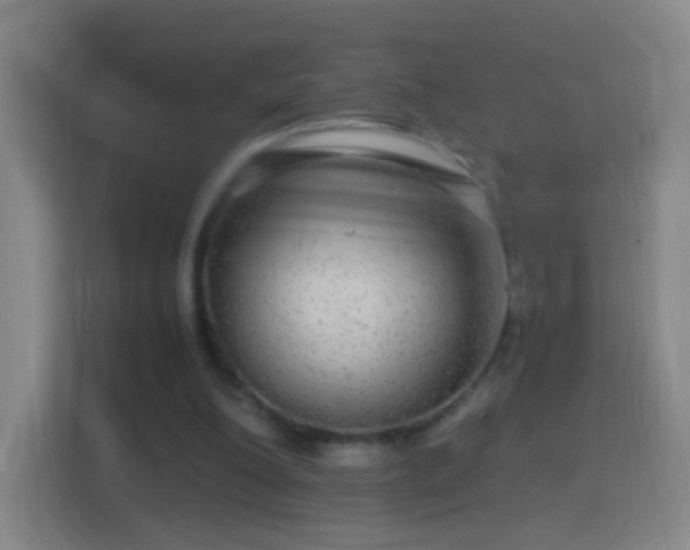 X0000114390200200910231023