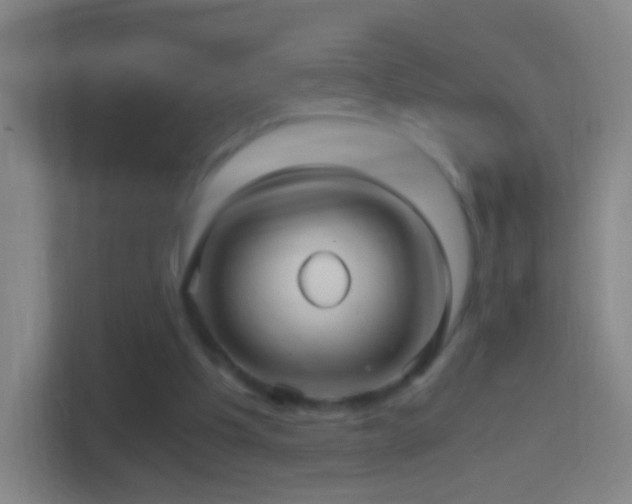X0000114390201200910231023