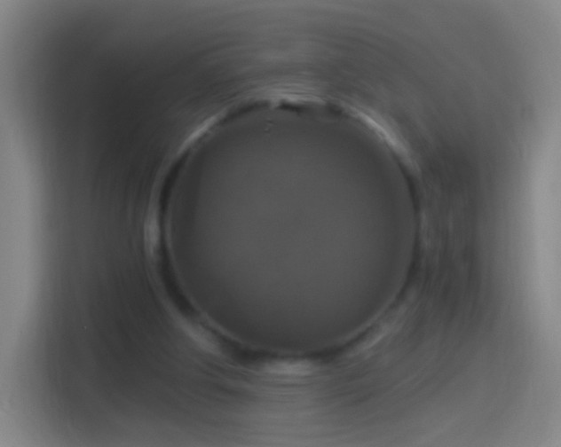 X0000114390202200910231023