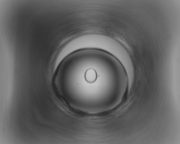 X0000114390203200910231023