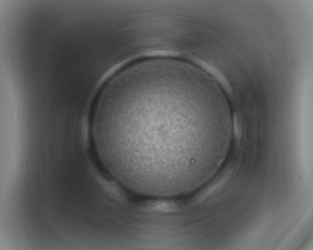 X0000114390204200910231023
