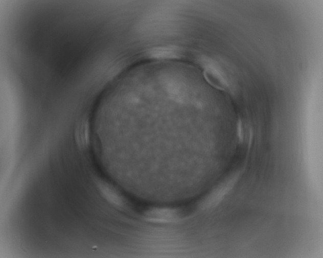X0000114390205200910231023