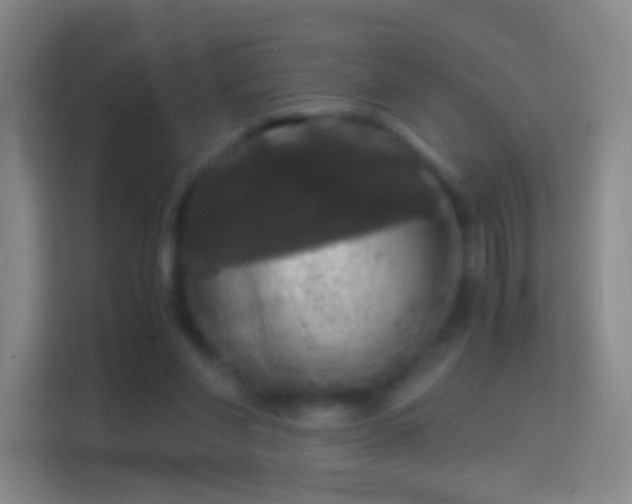 X0000114390206200910231023