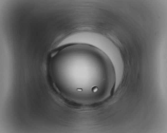 X0000114390207200910231023