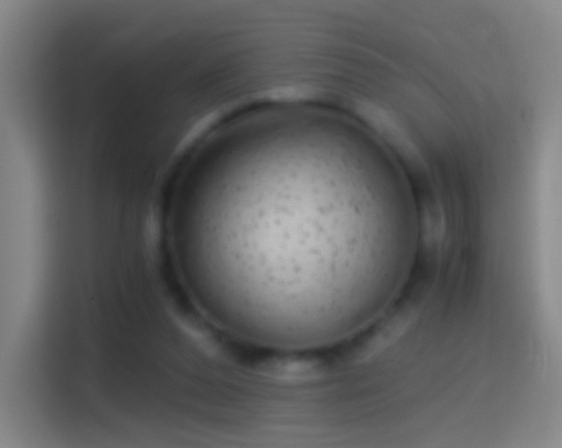X0000114390208200910231023