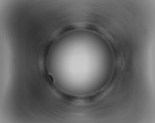 X0000114390209200910231023