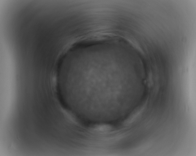 X0000114390210200910231023