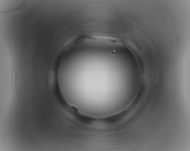 X0000114390211200910231023