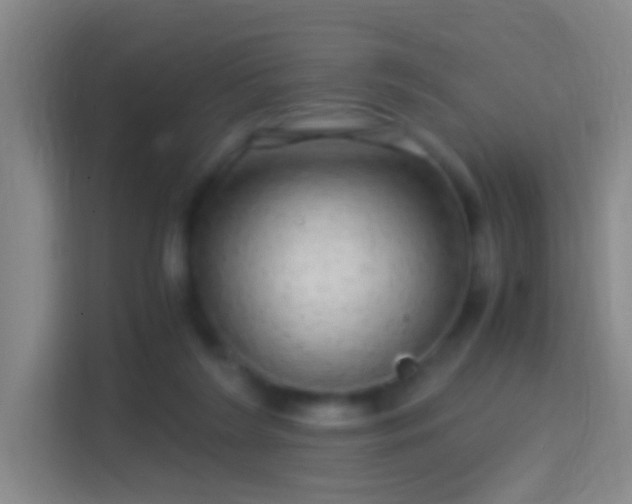 X0000114390212200910231023