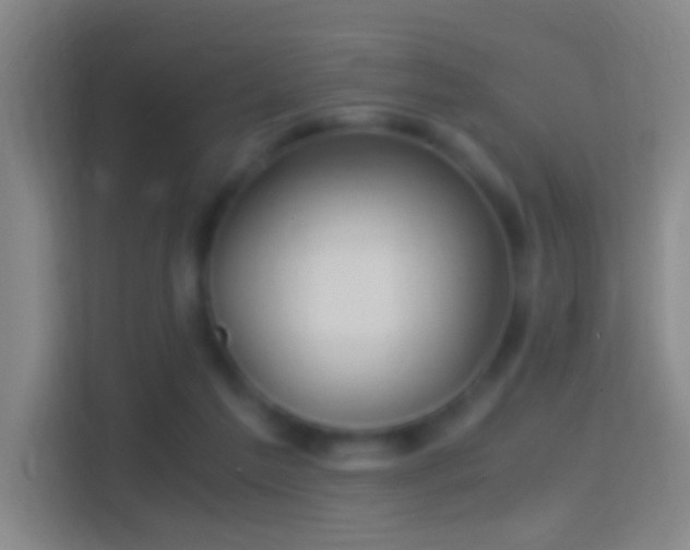 X0000114390213200910231023