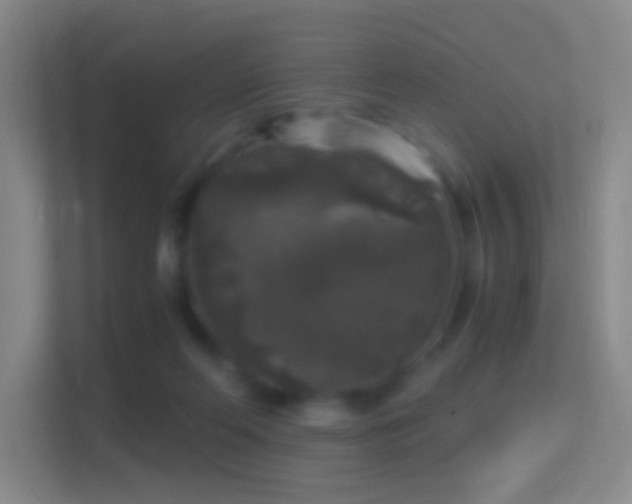 X0000114390214200910231023