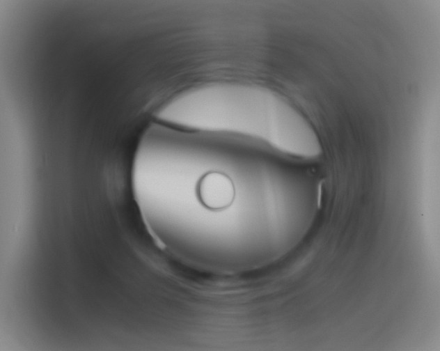X0000114390215200910231023