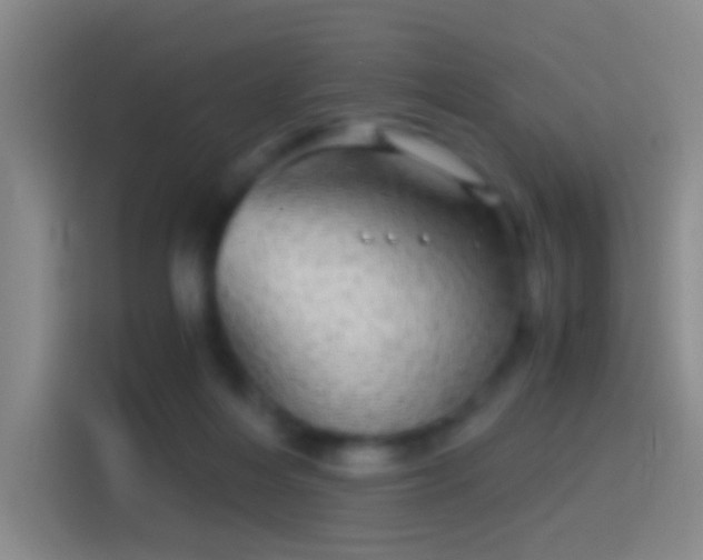 X0000114390216200910231023