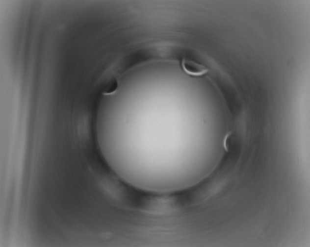 X0000114390217200910231023