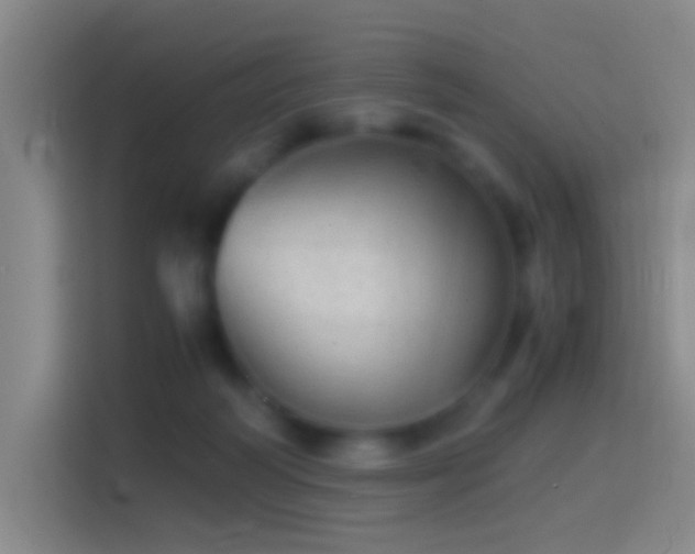 X0000114390218200910231023