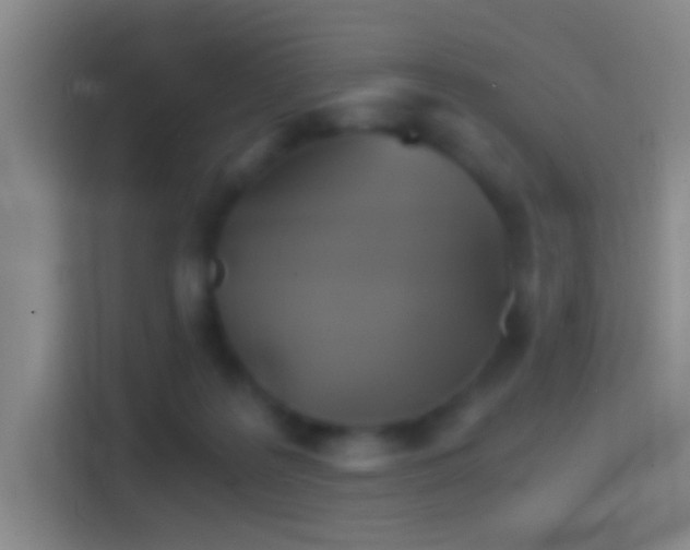X0000114390219200910231023