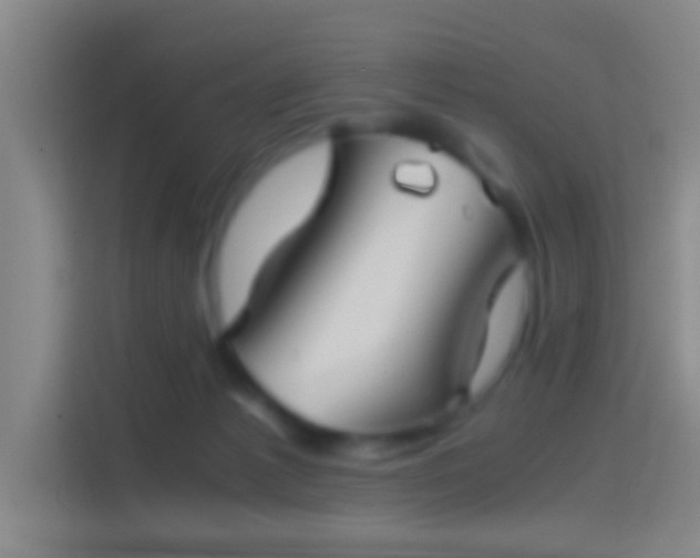 X0000114390221200910231023