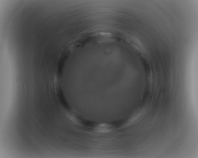 X0000114390222200910231023