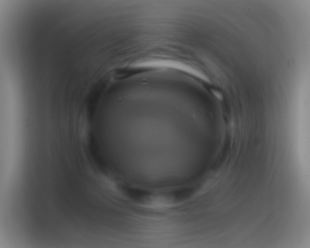 X0000114390223200910231023