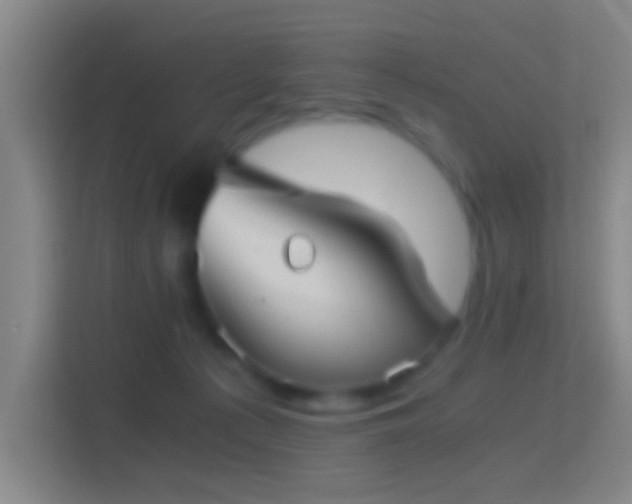 X0000114390225200910231023
