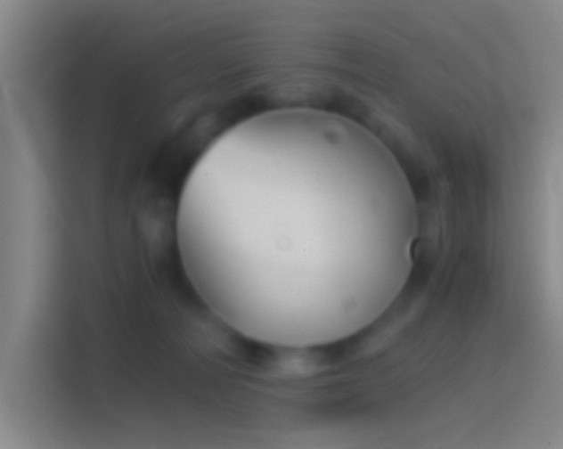 X0000114390226200910231023