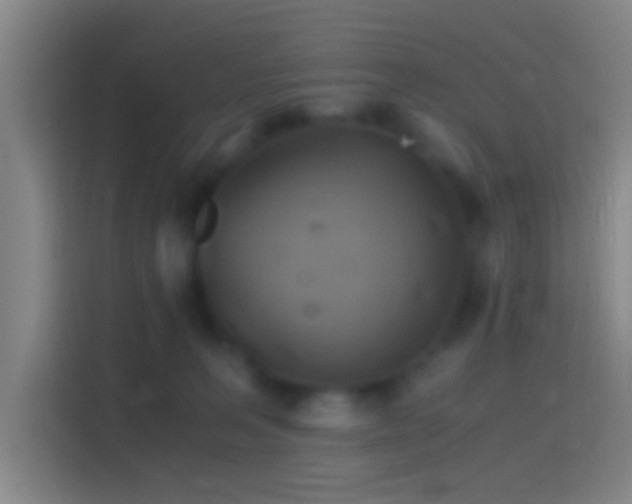 X0000114390227200910231023