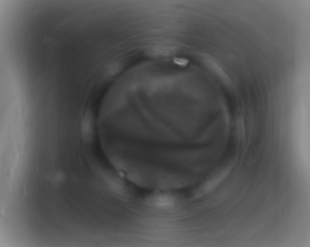 X0000114390228200910231023