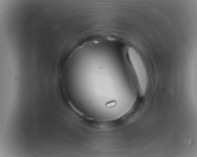 X0000114390229200910231023