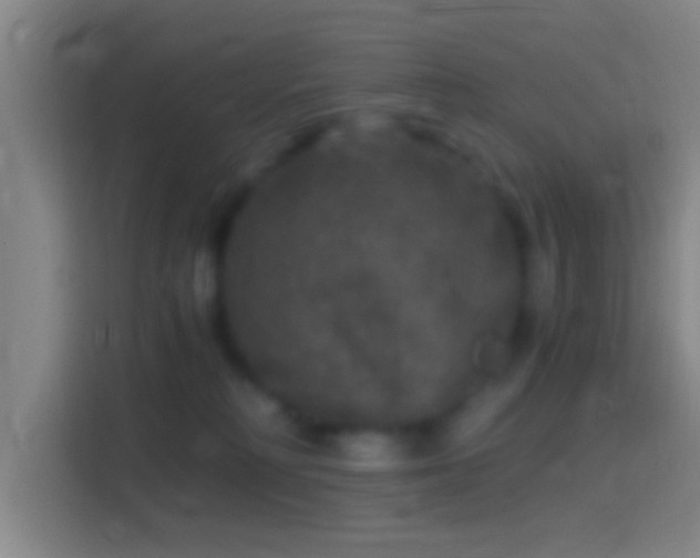X0000114390230200910231023
