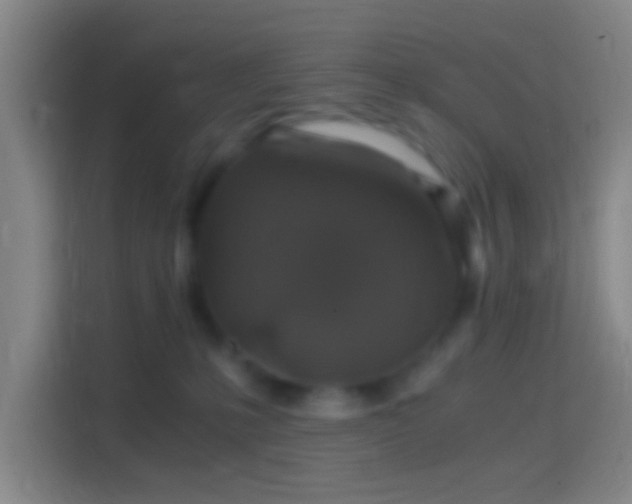 X0000114390231200910231023
