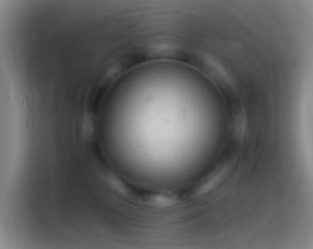 X0000114390232200910231023