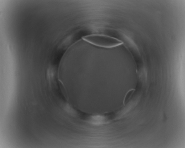 X0000114390233200910231023