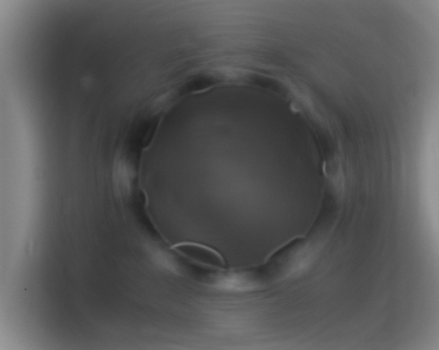 X0000114390235200910231023