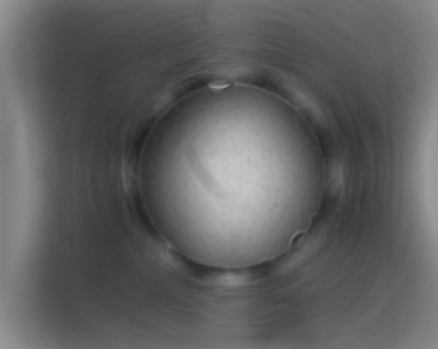 X0000114390236200910231023