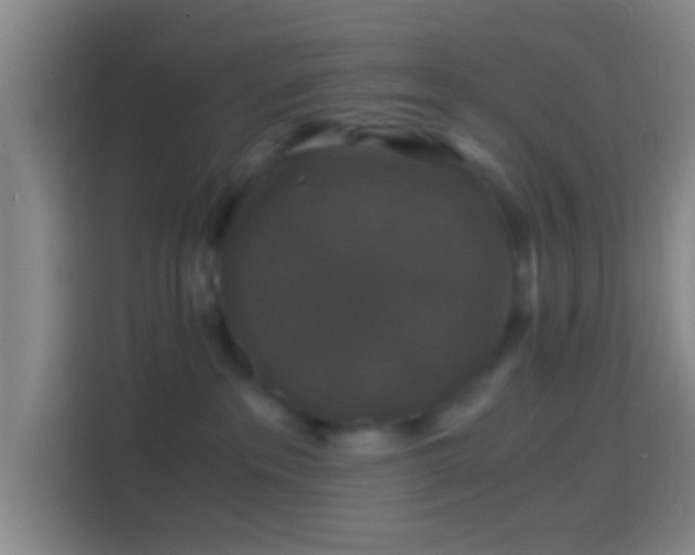 X0000114390237200910231023