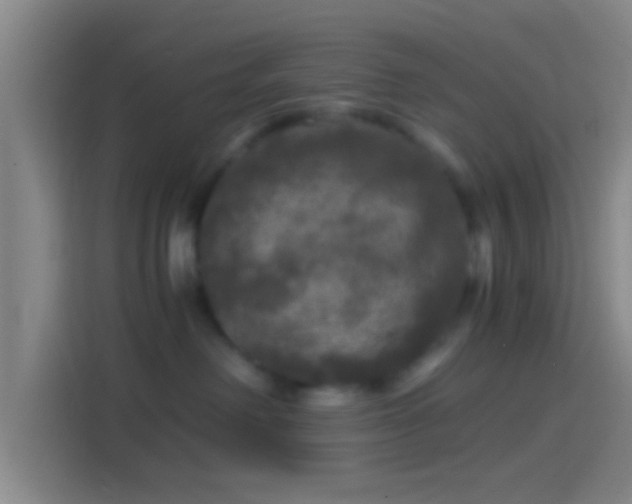 X0000114390238200910231023
