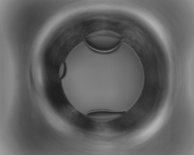 X0000114390239200910231023