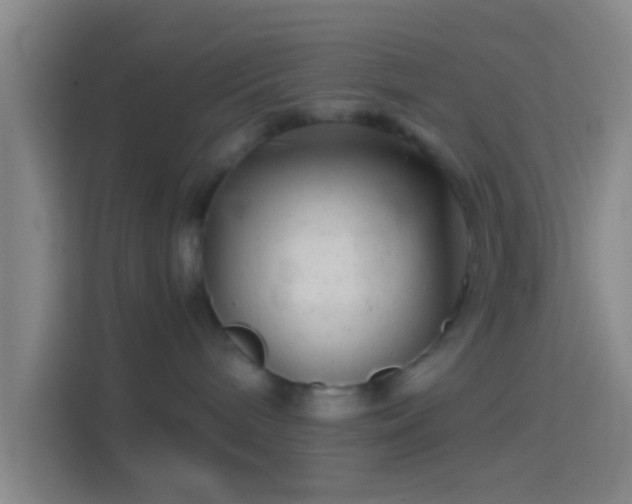 X0000114390240200910231023
