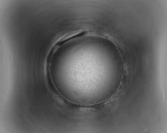 X0000114390242200910231022