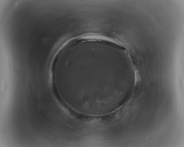 X0000114390243200910231022