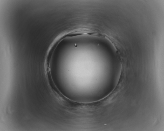 X0000114390244200910231022