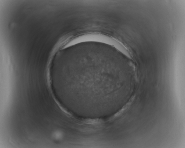 X0000114390245200910231022