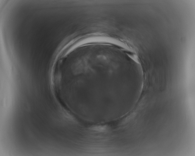 X0000114390247200910231022