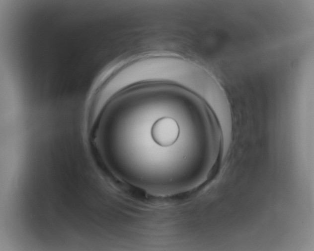 X0000114390248200910231022