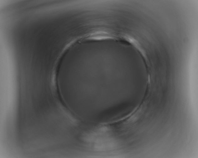 X0000114390249200910231022