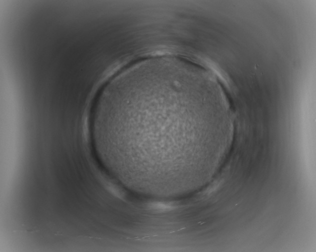 X0000114390250200910231022