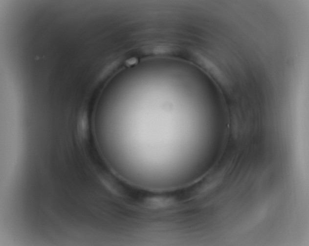 X0000114390251200910231022