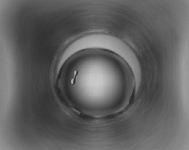 X0000114390252200910231022