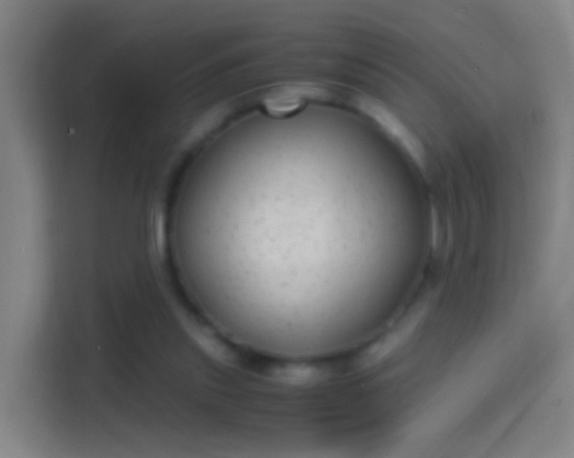 X0000114390253200910231022